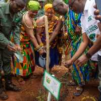 A Seedling is a Promise, a Tree is a Legacy" – Ghana Rebrands Forests as Economic Engines